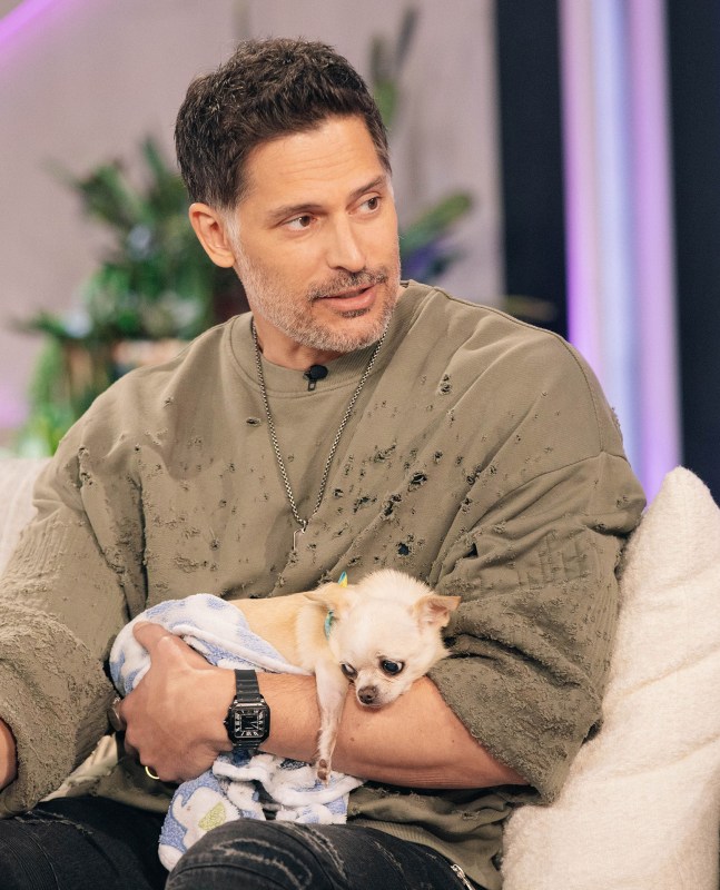 Joe Manganiello, Chihuahua dog Bubbles